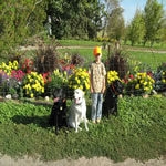 Bear, Gunner and Sam