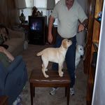 Milly at 4 Month Old