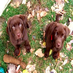 Choclate Boy and Girl